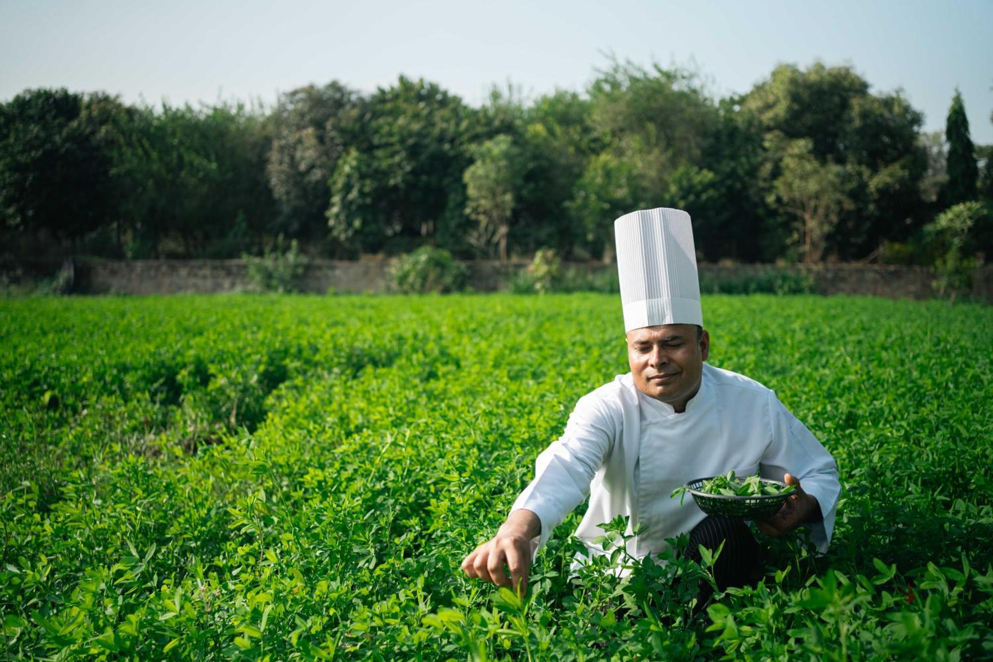 Abhyaran Resort & Spa Ranthambore Sawai Madhopur Buitenkant foto