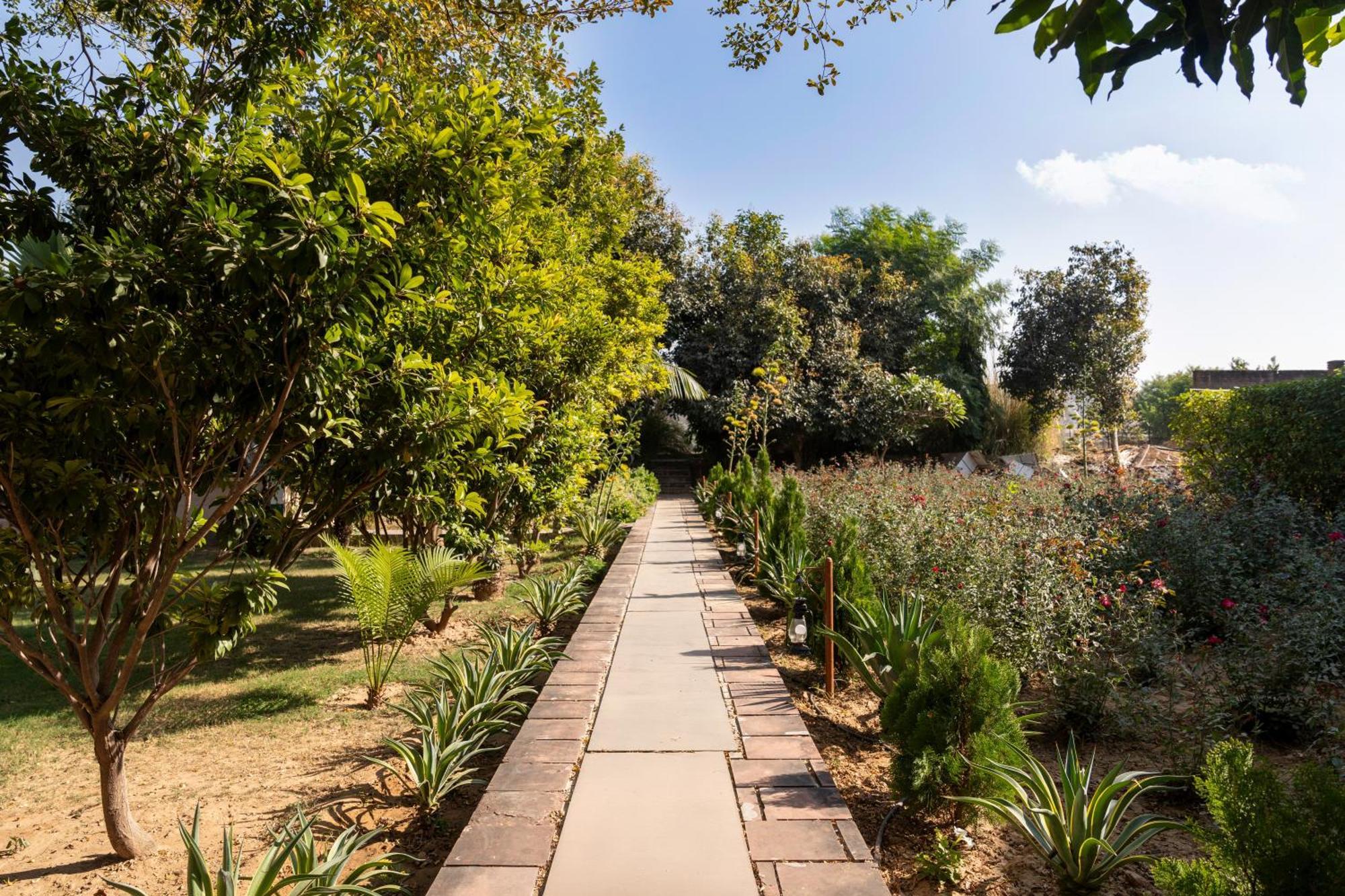 Abhyaran Resort & Spa Ranthambore Sawai Madhopur Buitenkant foto